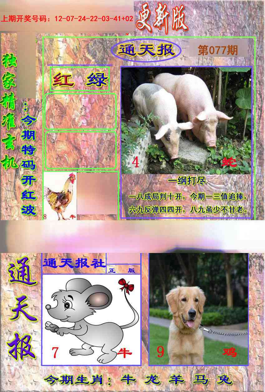 077期新通报[图]